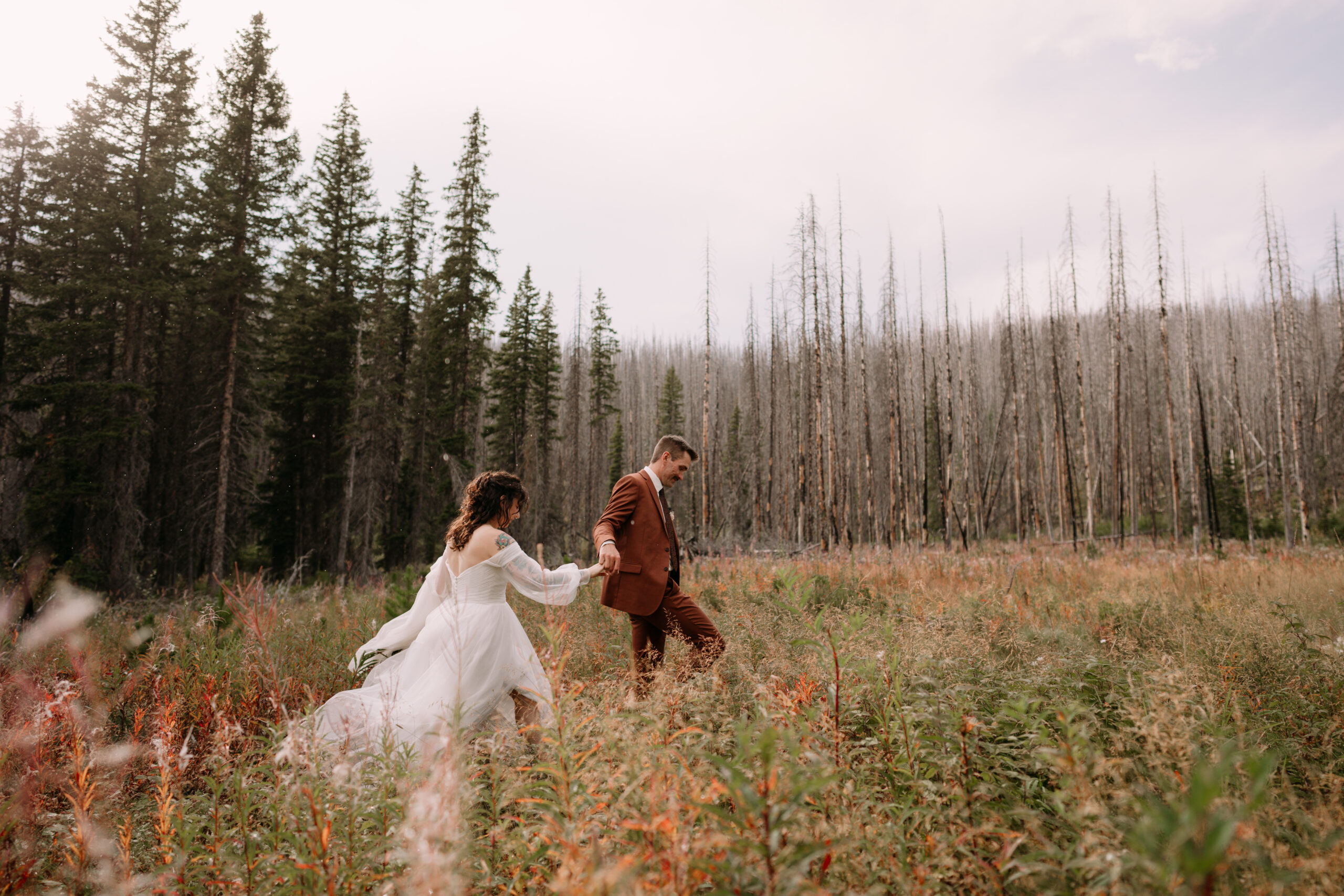 couple walks through fireweed field with burnt trees in the background during waterton elopement