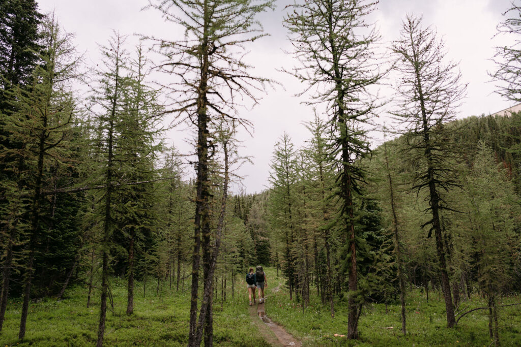 Couple hikes through larch forest during Shadow Lake Lodge elopement