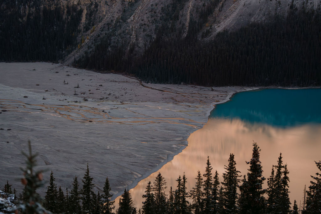 alpenglow reflected in peyto lake 
